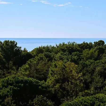 In 21783 Apartamento